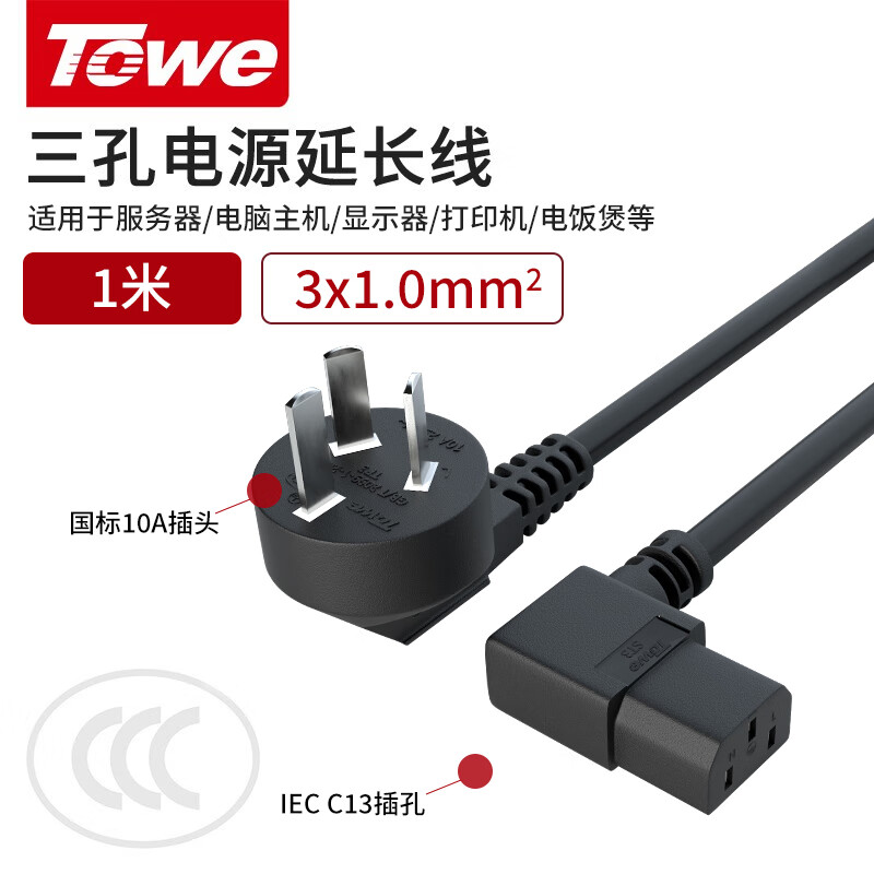 TW-F-10G10/C13W 线长1米 1.0平